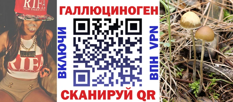 Псилоцибиновые грибы Magic Shrooms  Саки 